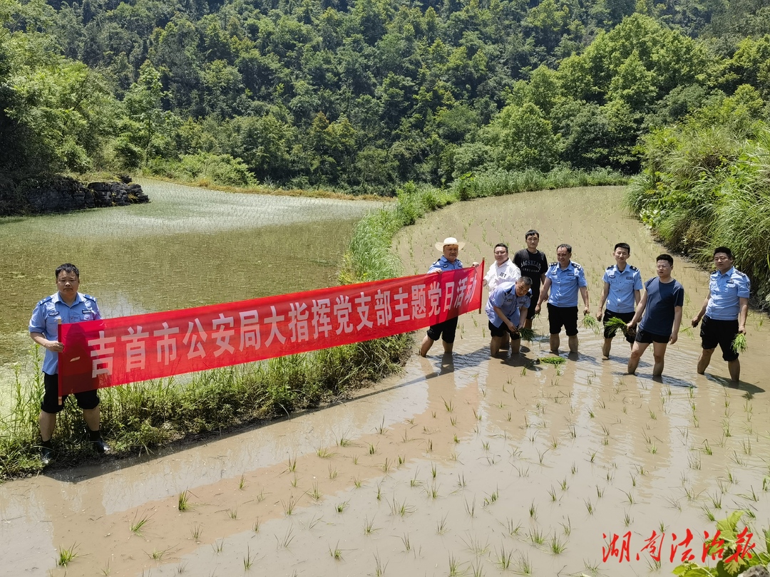 “藏青藍”點亮“春耕綠” 助農(nóng)插秧促振興