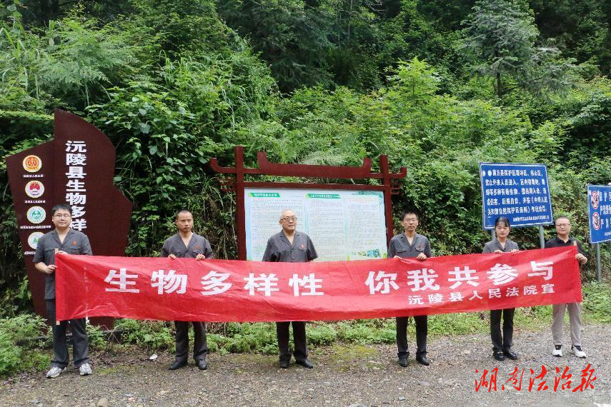 沅陵法院：生物多樣性，你我共參與