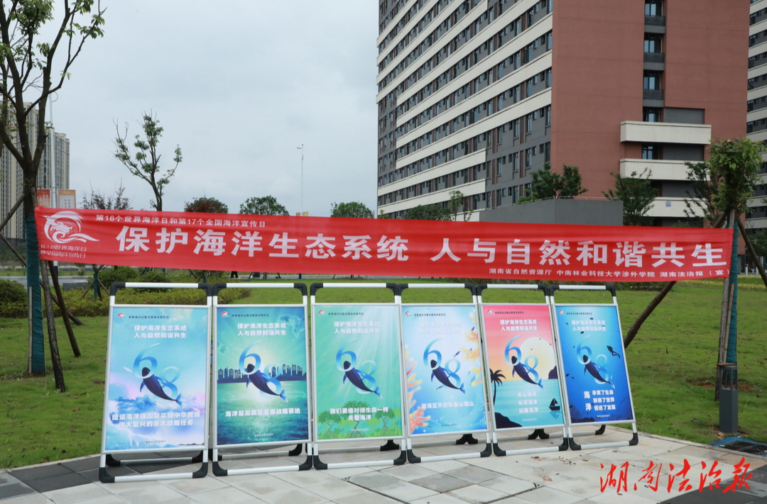 守護海洋 從了解開始——湖南省自然資源廳開展海洋日宣傳活動