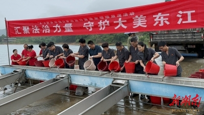 為青山綠水繪法治底色 郴州法院以高質(zhì)量司法守護(hù)一方山水