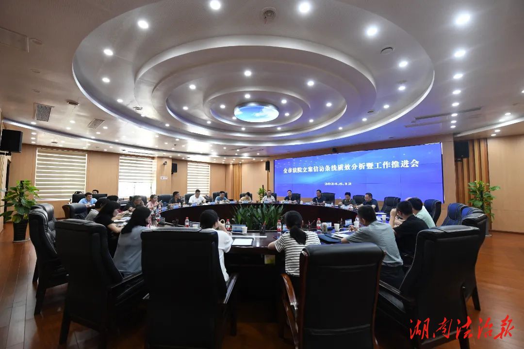 岳阳市中级人民法院召开全市法院立案信访条线质效分析暨工作推进会。