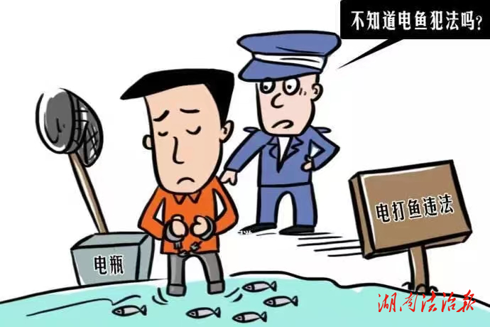 【以案釋法】捕魚(yú)者為何先被“捕”？