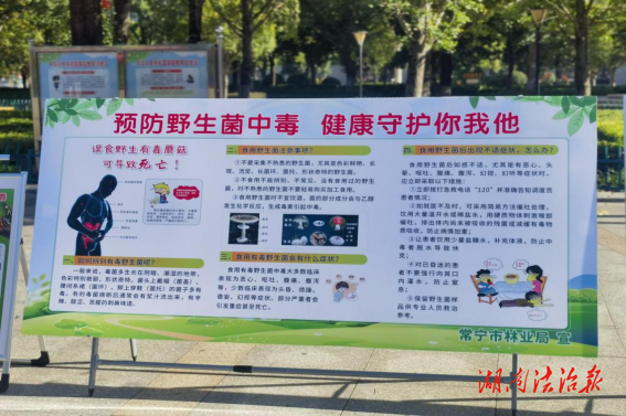 常寧市林業(yè)局開展2024年“7.19預防野生蘑菇中毒宣傳日”主題宣傳活動