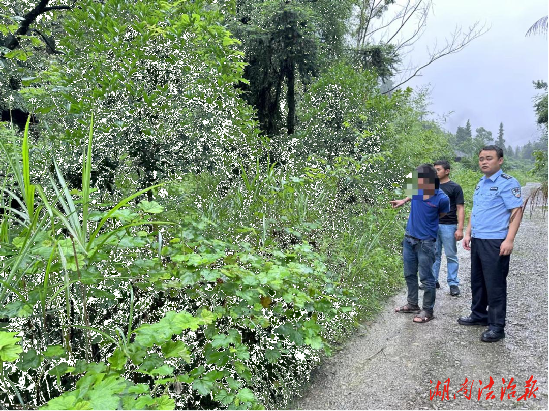 案小民生大 龍山公安破獲一起盜竊案