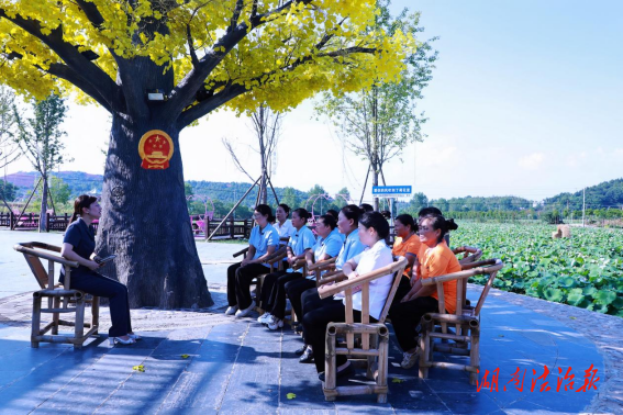 常寧法院：普法“荷花里” 共繪“楓”景圖