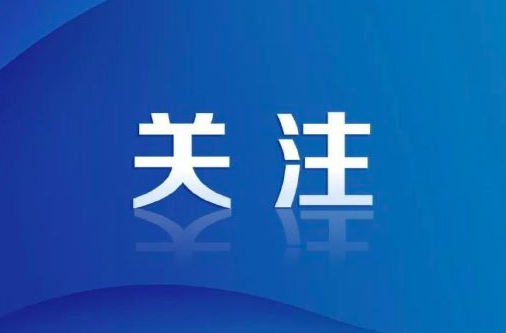 三高四新 法治護(hù)航丨“楓”至山水間 架起幸福橋 懷化洪江市法院托口法庭用心用情交出綠色答卷