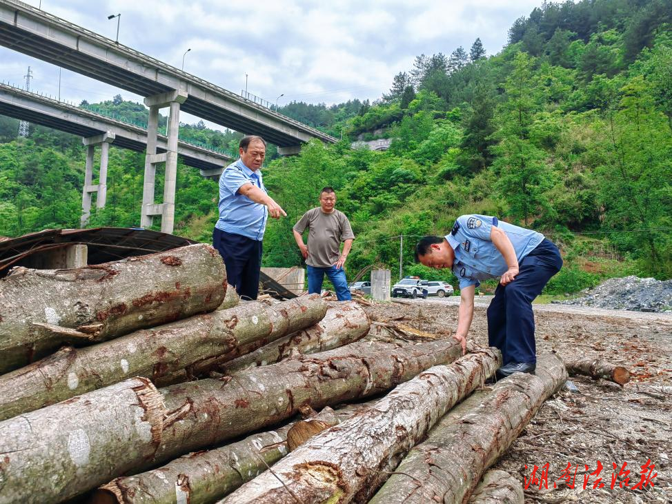 永順：守護(hù)青山綠水，共筑生態(tài)“長城”