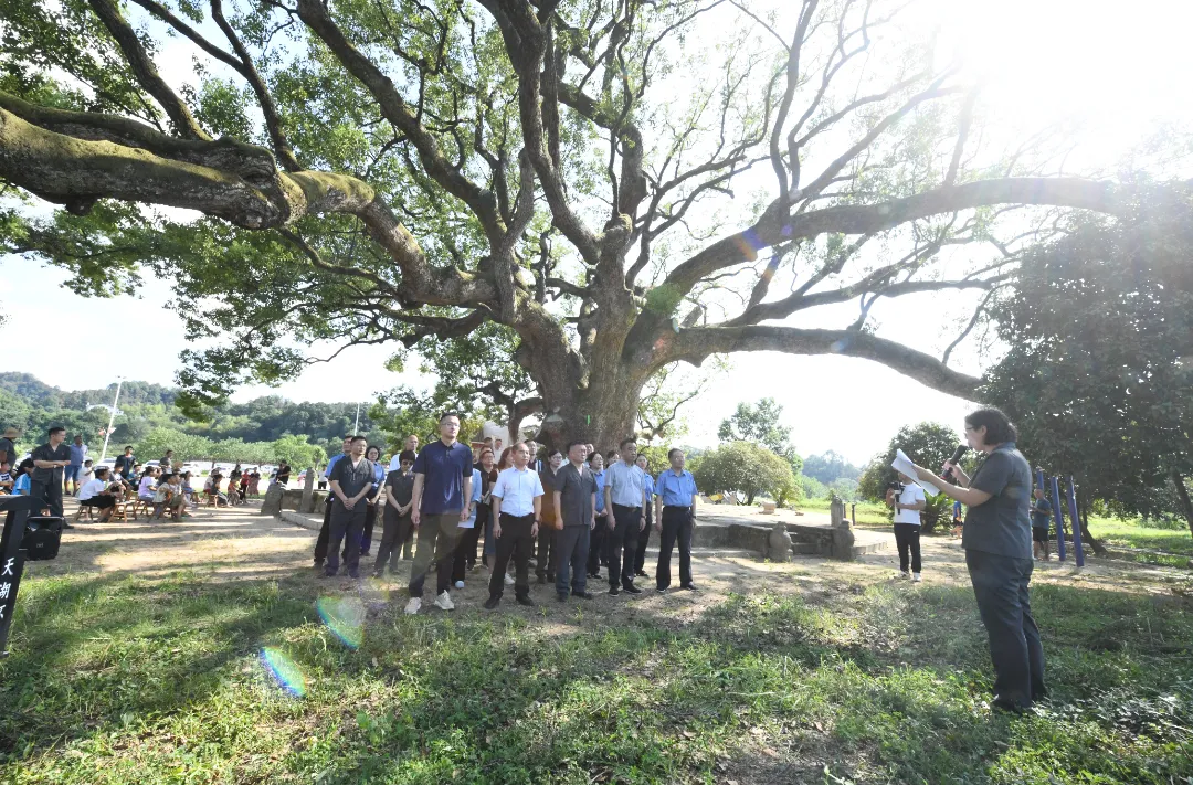 岳陽：全市首份古樹《司法保護令》發(fā)出！