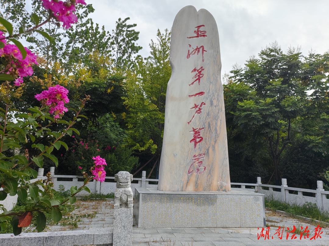 沅江漉湖風(fēng)光美 “貼心黨建”織錦繡