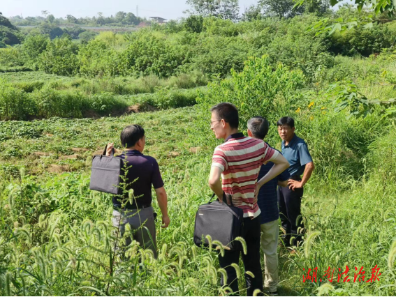 祁東縣洪橋街道：“產(chǎn)業(yè)+”，因地制宜助推鄉(xiāng)村振興