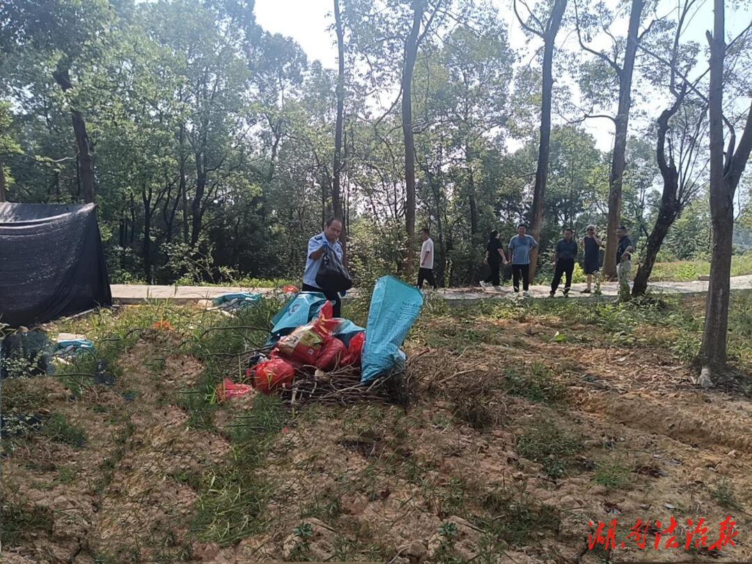 【夏季行動】龍山森林公安對近年查獲的野生動植物進(jìn)行集中銷毀