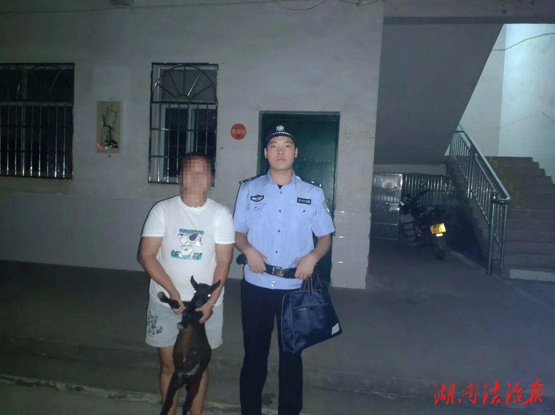 小事不“小視”，民警幫村民找回走散的羊羔