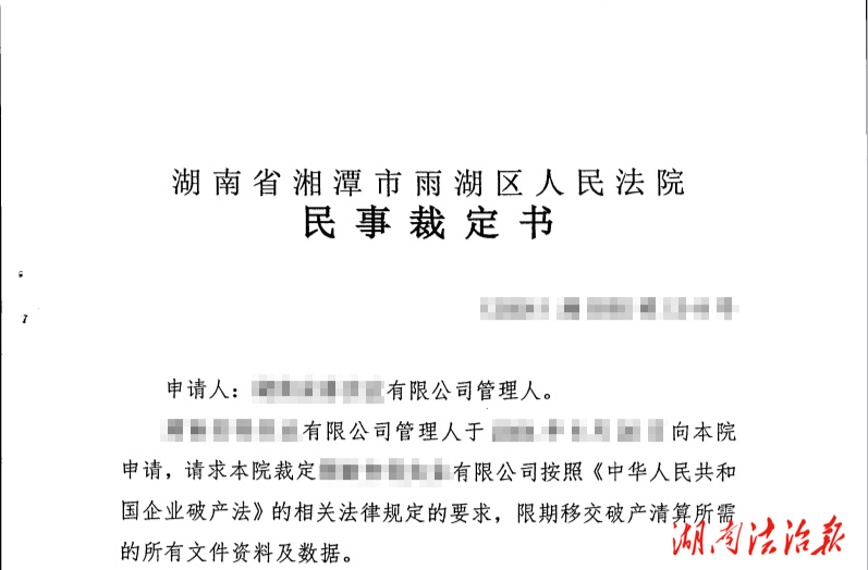全省首例！法院依法作出要求債務(wù)人限期移交財務(wù)賬冊等重要資料裁定書