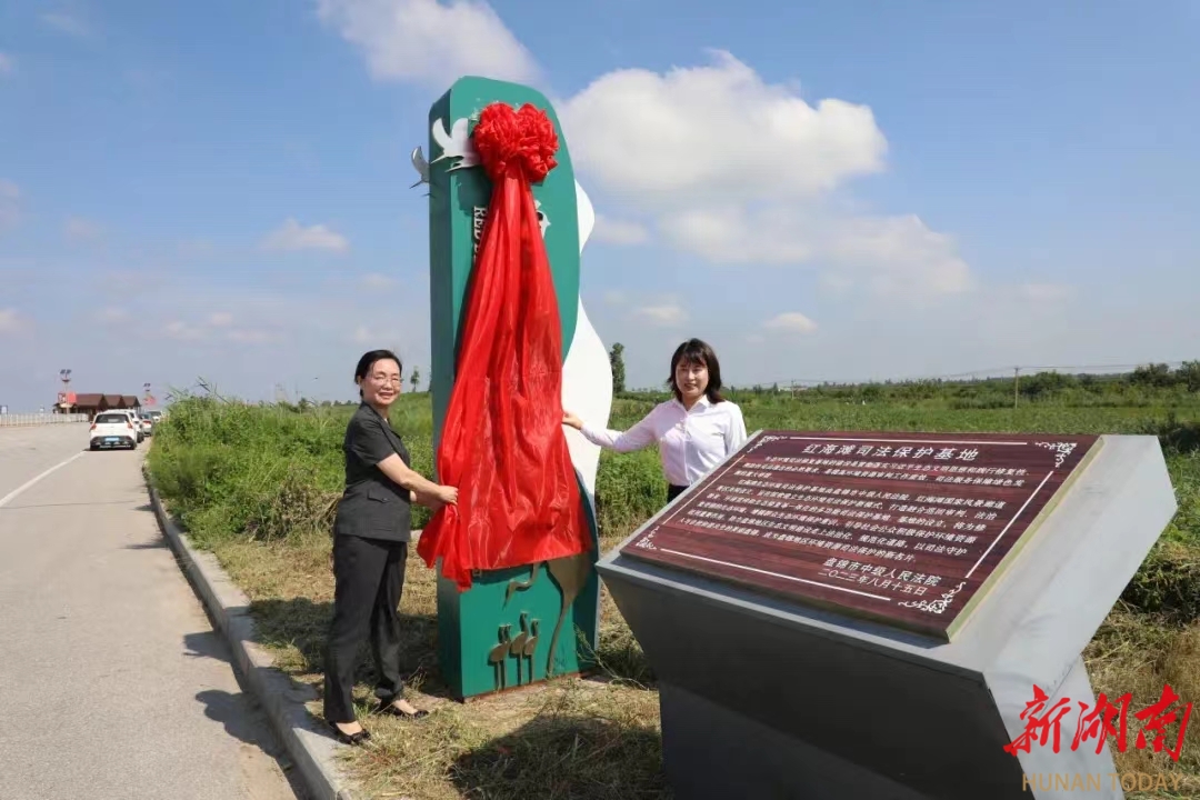 打造生態(tài)保護“新高地”——盤錦法院積極探索環(huán)境資源司法保護新模式新路徑