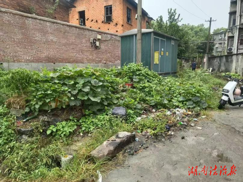 卜里坪街道：雜草地微改造發(fā)揮大作用