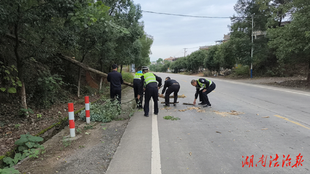 道縣：樹(shù)木傾倒阻路 交警清理保暢