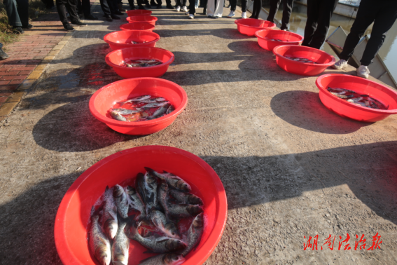 衡陽(yáng)縣：130萬(wàn)尾魚苗人工放流蒸水河