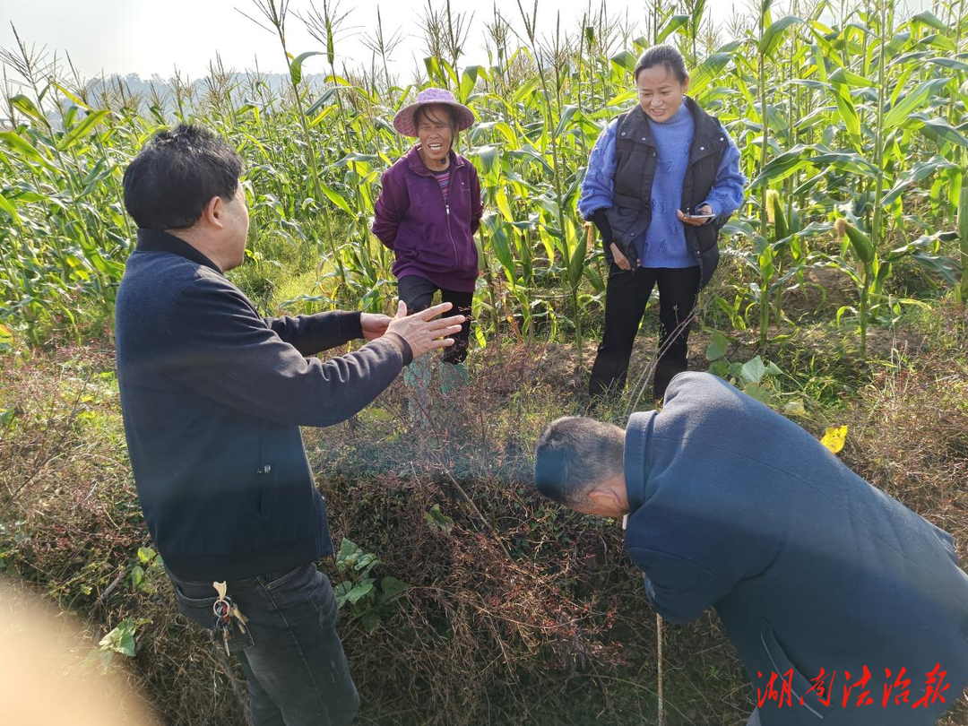 黨建引領(lǐng)讓高標(biāo)準(zhǔn)農(nóng)田“高”起來