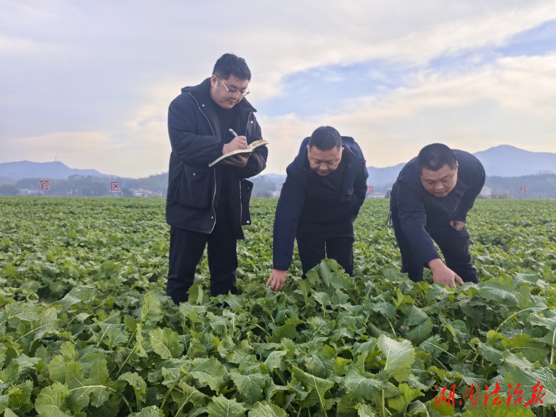 桃江縣：石牛江鎮(zhèn)美如畫 鄉(xiāng)村振興繪錦繡