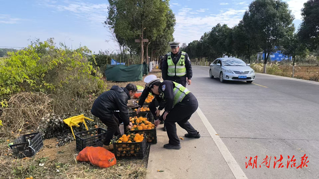 道縣：果農(nóng)占道販賣臍橙存隱患 交警勸離保安全