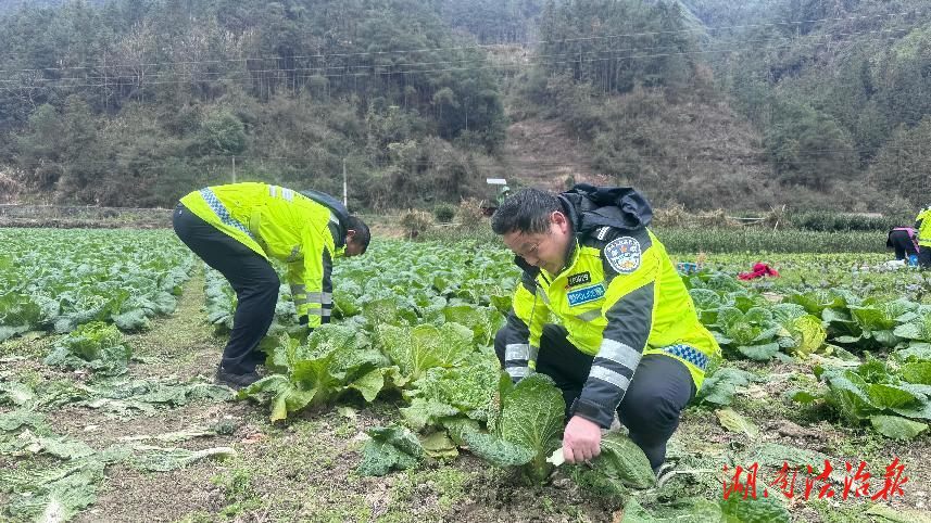 讓“警”色在田間，印在群眾心里