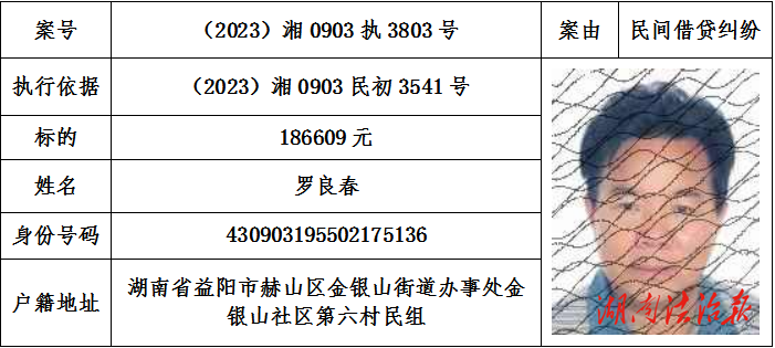 湖南省益陽市赫山區(qū)人民法院  懸賞公告