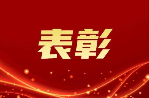 湘西人大代表工作獲省人大三項表彰