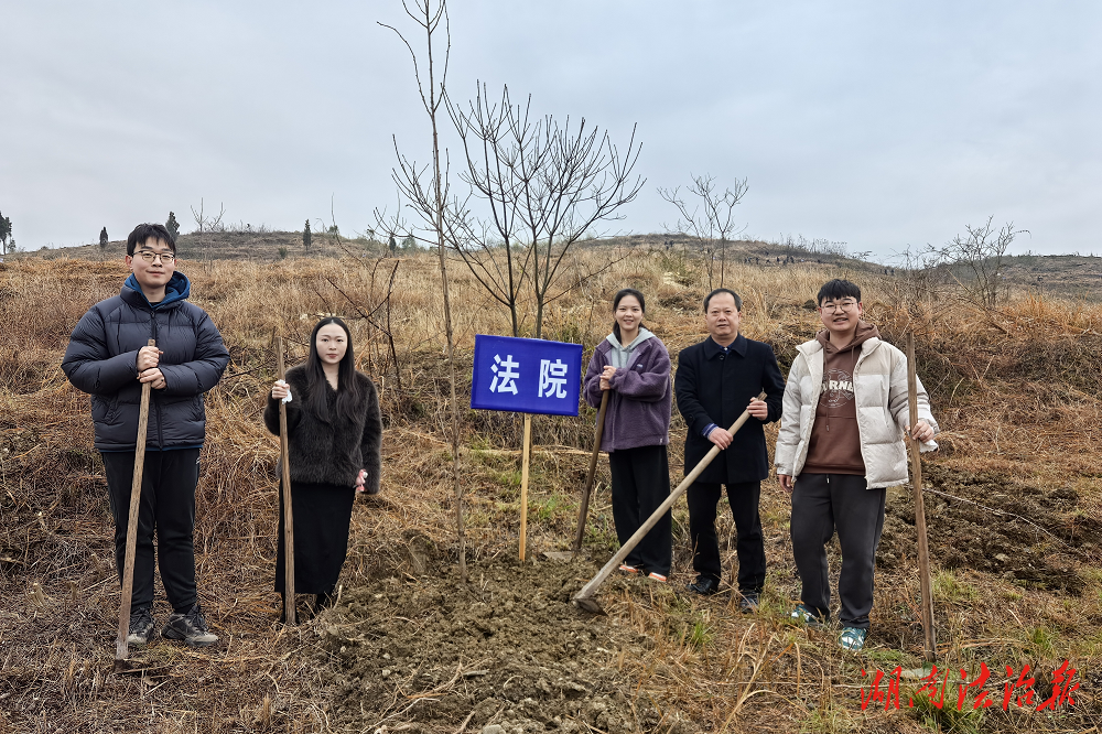 寧遠縣法院：植樹造林，開啟新年新征程