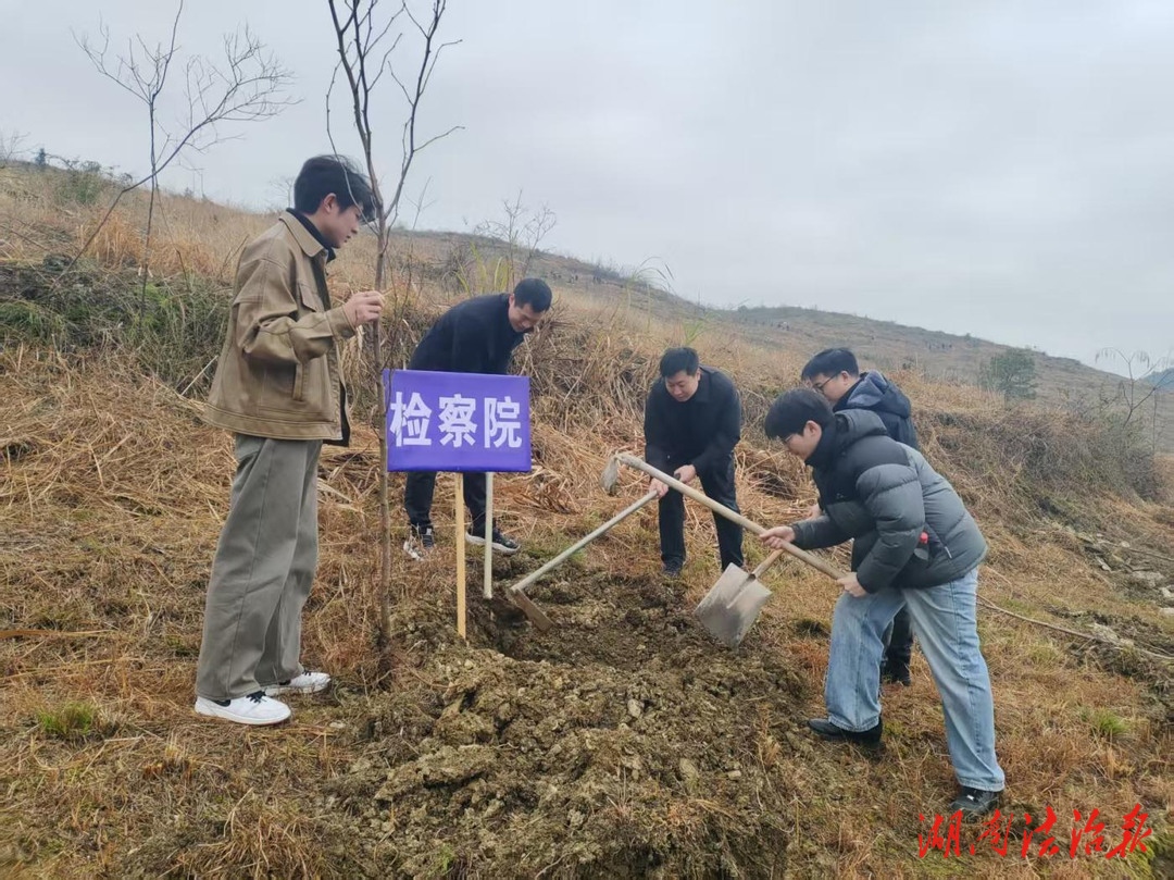 植樹添綠 開工大吉