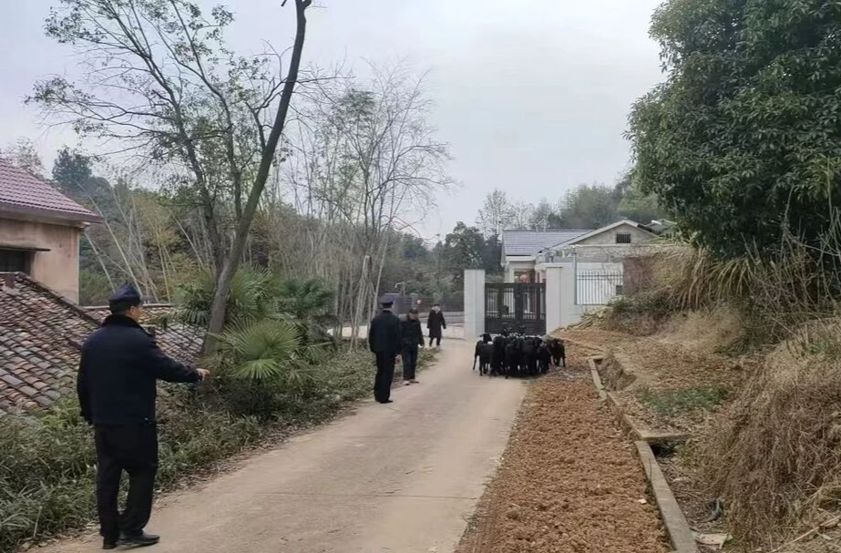 一只不少！民警無人機上演科技版“尋羊記”