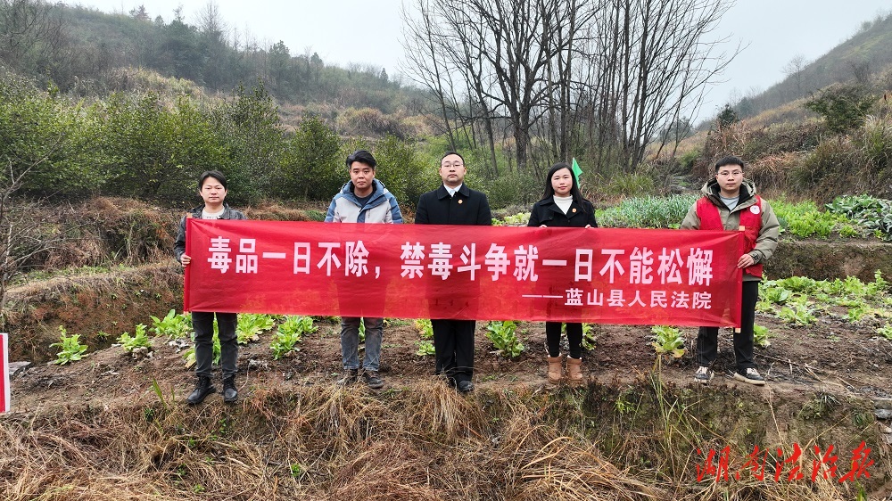 空地聯(lián)動(dòng)，織密禁種鏟毒“防護(hù)網(wǎng)”
