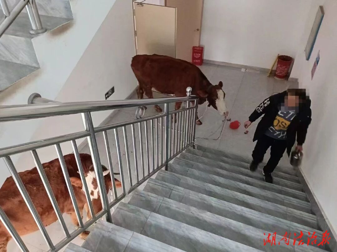 中路鋪派出所依法查處一起擾亂單位秩序案件