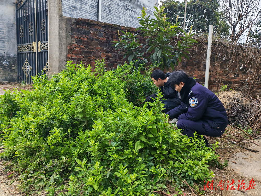 ?  新田縣驥村鎮(zhèn)：春季禁毒鏟毒在行動，守護無毒家園