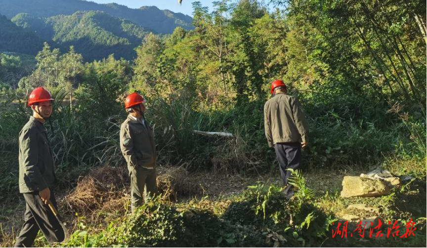 道縣持續(xù)做好春季森林防滅火工作