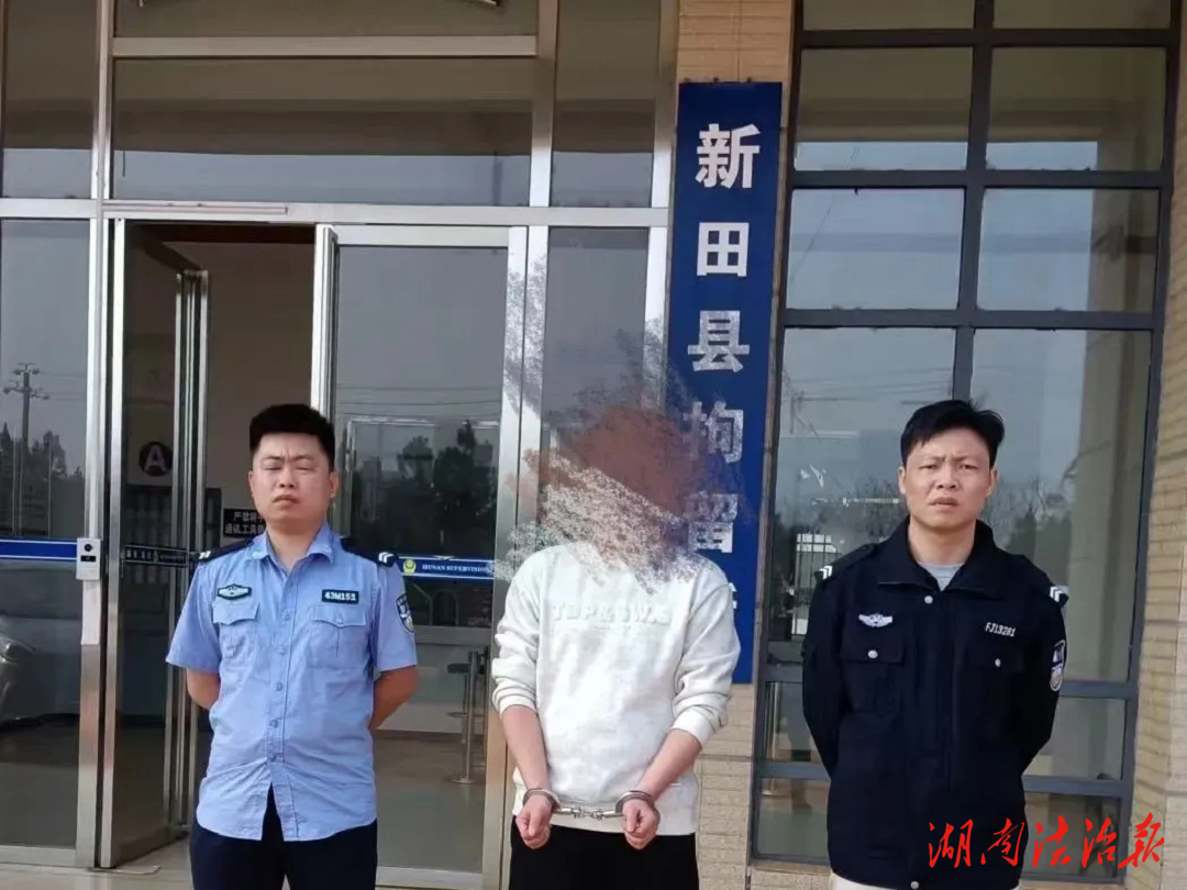 【夏季執(zhí)行風暴】新田法院：司法拘留出重拳