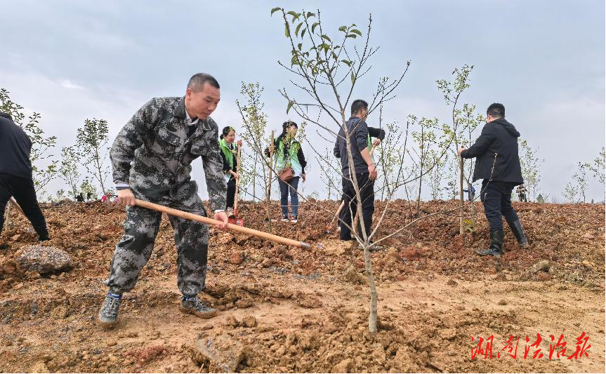 道縣推動全民義務(wù)植樹 共促生態(tài)持續(xù)向好