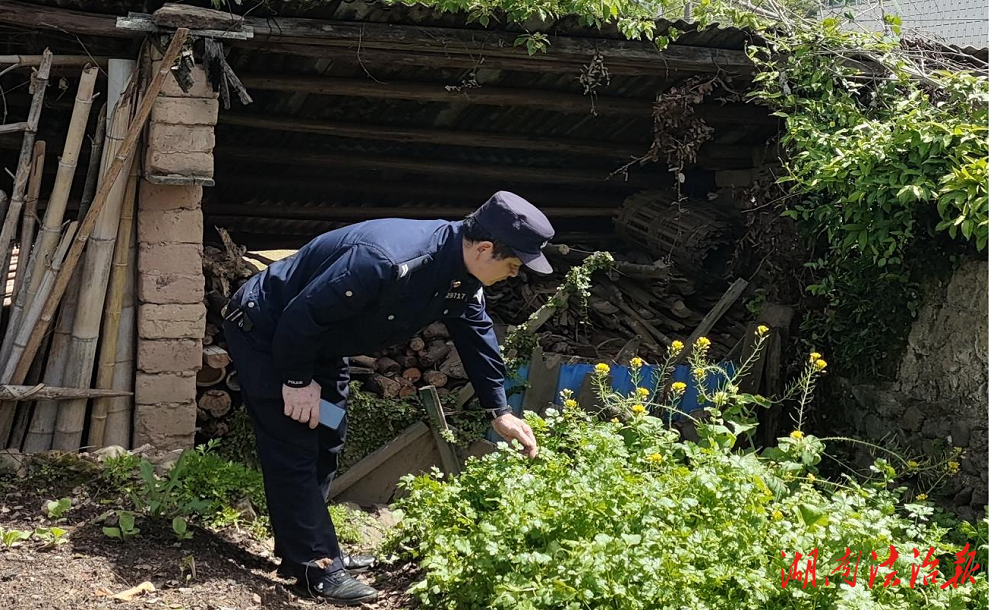 富家橋鎮(zhèn)：禁種鏟毒全覆蓋，平安鄉(xiāng)村無“毒”行