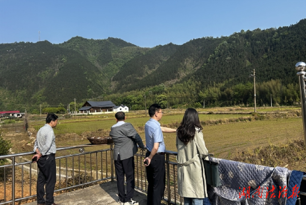金洞：以基層監(jiān)督促鄉(xiāng)村振興