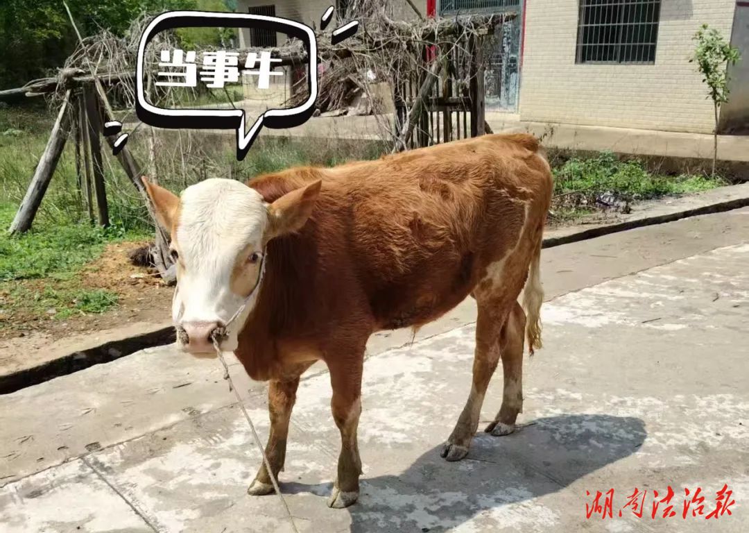 找回丟失“黃?！保窬毁潯罢媾！? />
                        </a>
                                        <div>
                        <p>
                            <a href=