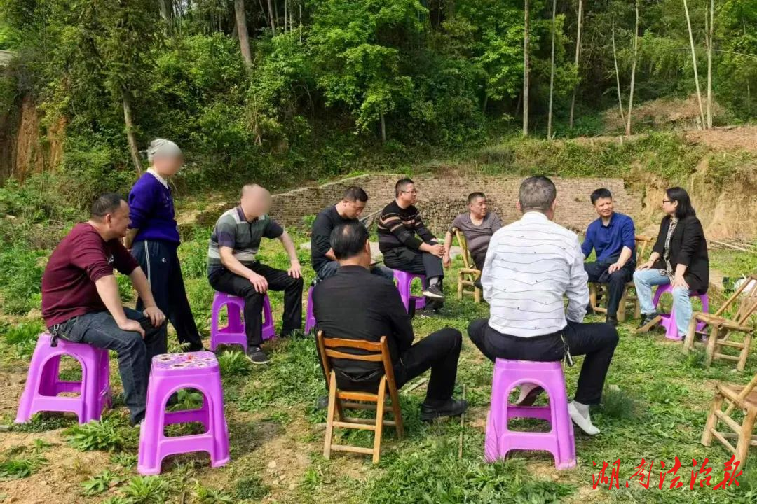 創(chuàng)建“楓橋式人民法庭”丨屋場會上好“楓”景，春日解紛化鬩墻