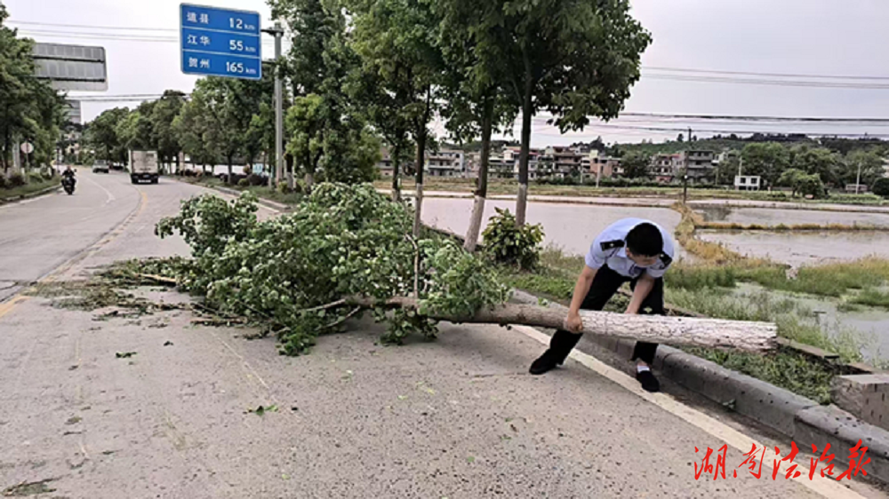 道縣：樹木倒地變“攔路虎” 交警化身“搬運工”