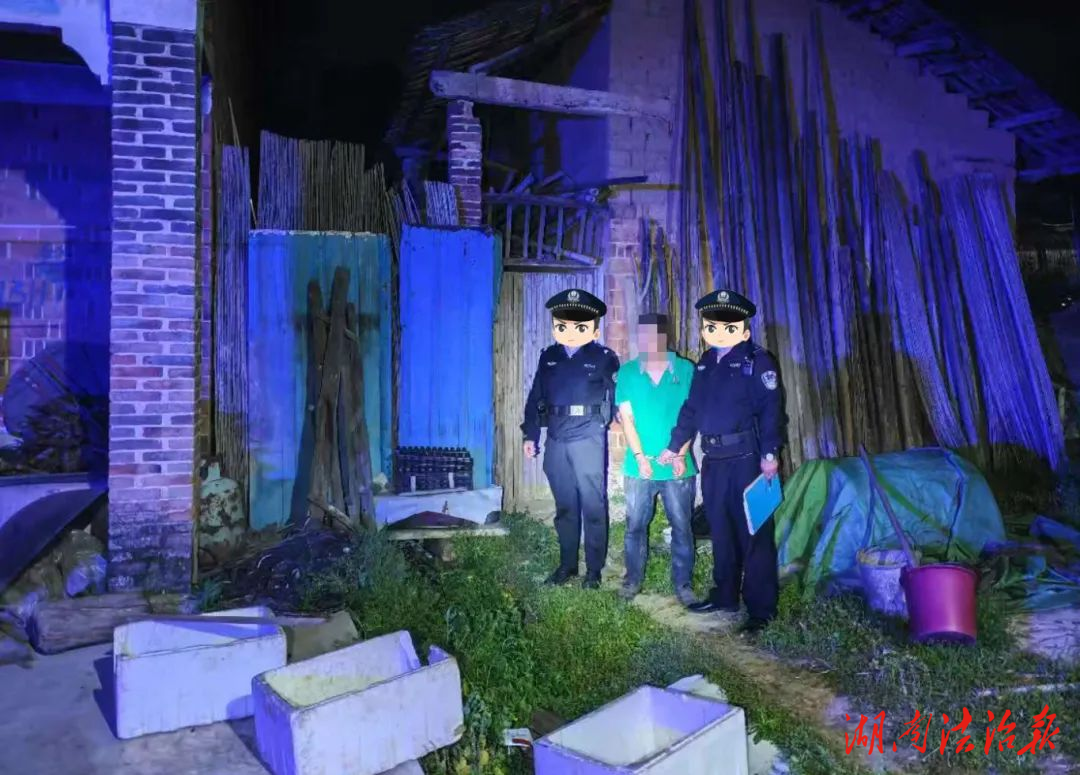 破案給力，退贓暖心！雙峰公安印塘派出所速破系列家禽被盜案