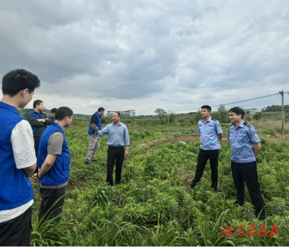祁東縣司法局開展黃花菜種植技能培訓(xùn)助力社矯安幫對(duì)象就業(yè)增收