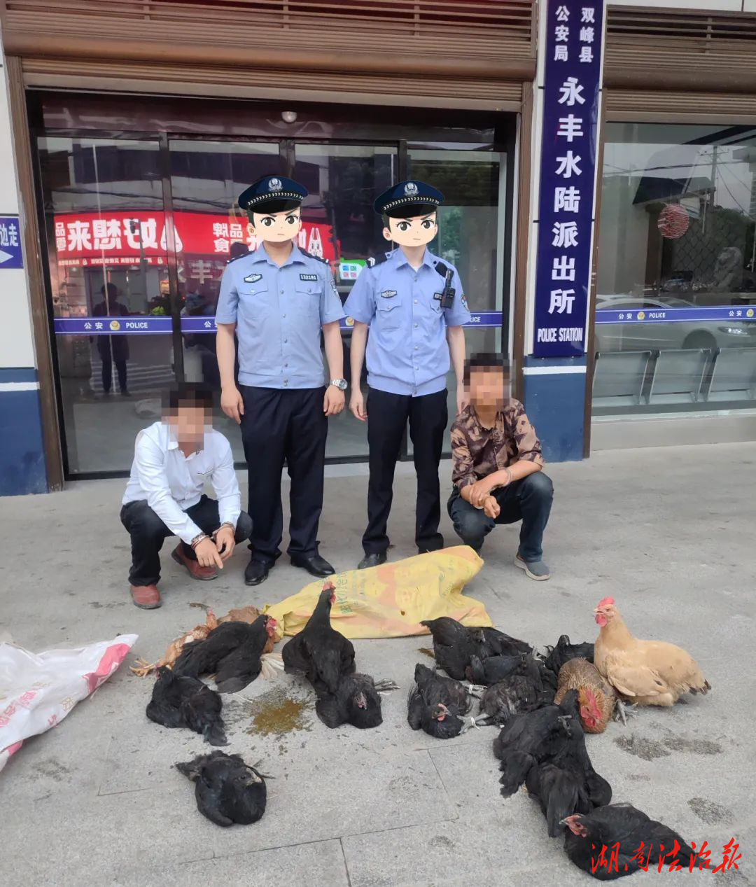偷雞不成蝕把米，2名男子盜竊19只雞被拘！