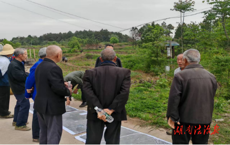 新田縣枧頭鎮(zhèn)：“土地延包+禁種鏟毒”雙線并進(jìn) 織密鄉(xiāng)村振興“安全網(wǎng)”