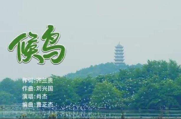 歌曲 | 候鳥(niǎo)