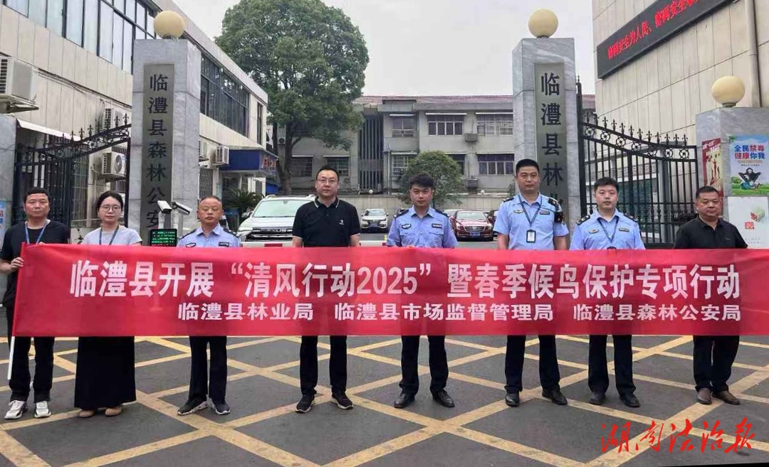 臨澧開展“清風(fēng)行動2025”暨春季候鳥保護專項行動