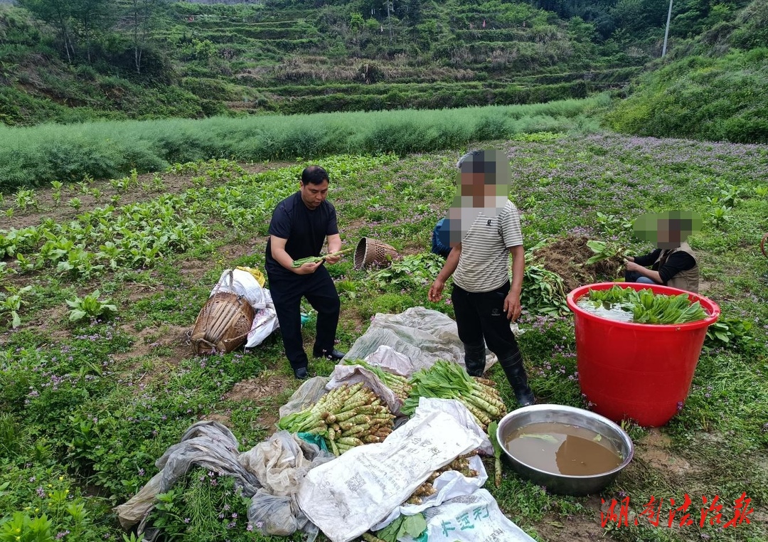 花垣：實(shí)施精準(zhǔn)幫扶，矯正助力回歸
