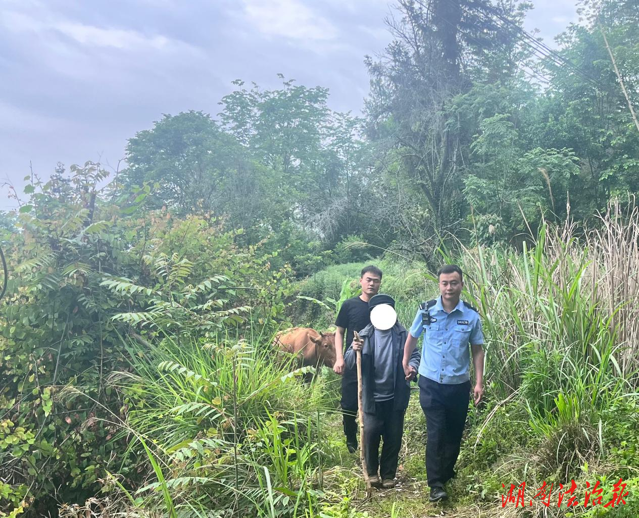 老人放牛中暑被困山中 龍山公安民警及時救助