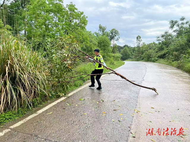 道縣：樹枝傾倒路面阻路 交警徒手清理保暢